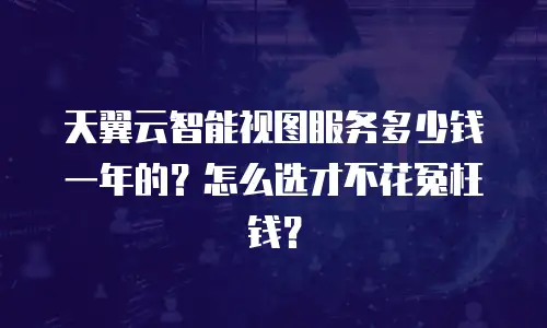 天翼云智能视图服务多少钱一年的？怎么选才不花冤枉钱？