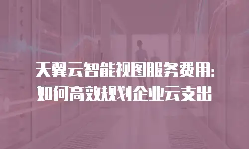 天翼云智能视图服务费用：如何高效规划企业云支出