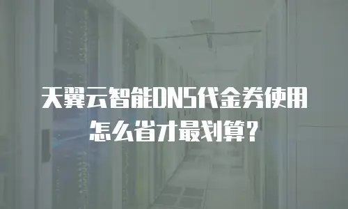 天翼云智能DNS代金券使用怎么省才最划算？