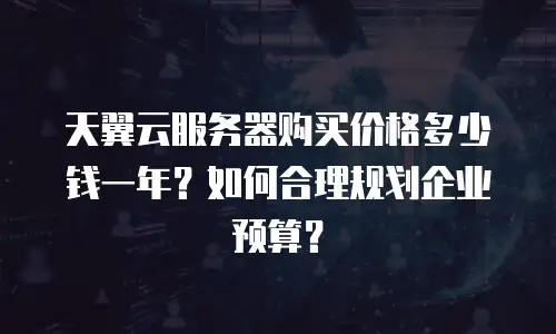 天翼云服务器购买价格多少钱一年？如何合理规划企业预算？