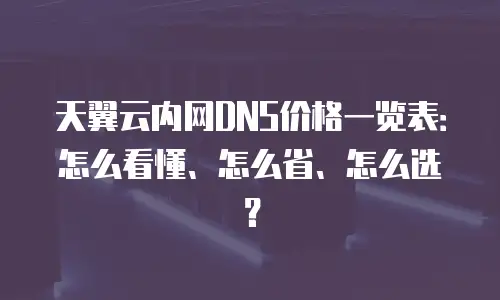 天翼云内网DNS价格一览表：怎么看懂、怎么省、怎么选？