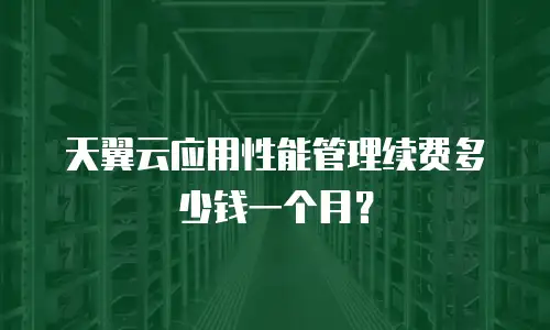 天翼云应用性能管理续费多少钱一个月？