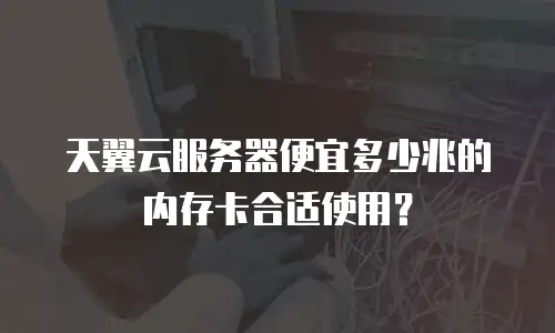 天翼云服务器便宜多少兆的内存卡合适使用？