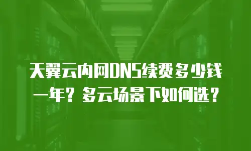 天翼云内网DNS续费多少钱一年？多云场景下如何选？