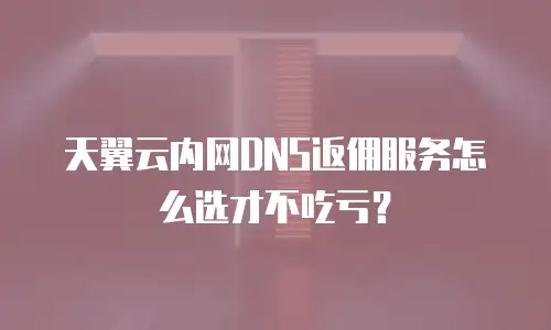 天翼云内网DNS返佣服务怎么选才不吃亏？