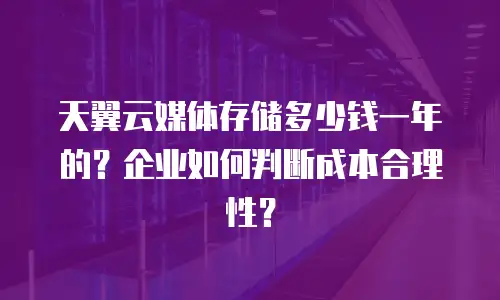 天翼云媒体存储多少钱一年的？企业如何判断成本合理性？