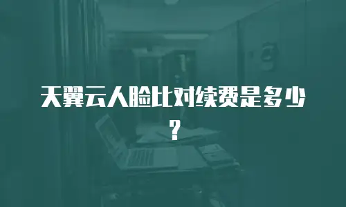 天翼云人脸比对续费是多少？