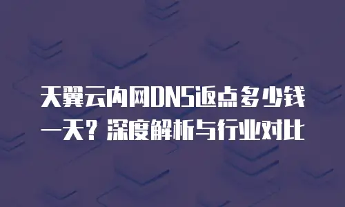 天翼云内网DNS返点多少钱一天？深度解析与行业对比