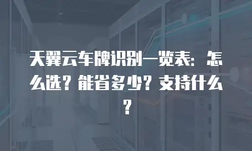 天翼云车牌识别一览表：怎么选？能省多少？支持什么？