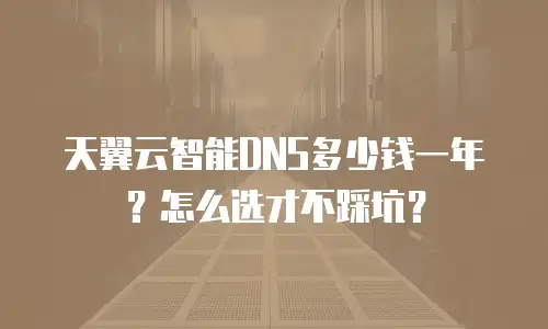 天翼云智能DNS多少钱一年？怎么选才不踩坑？