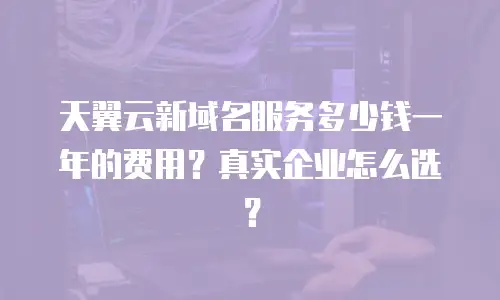 天翼云新域名服务多少钱一年的费用？真实企业怎么选？