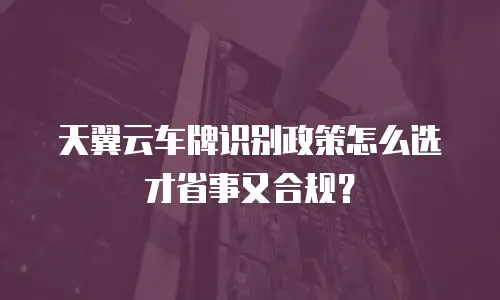 天翼云车牌识别政策怎么选才省事又合规？