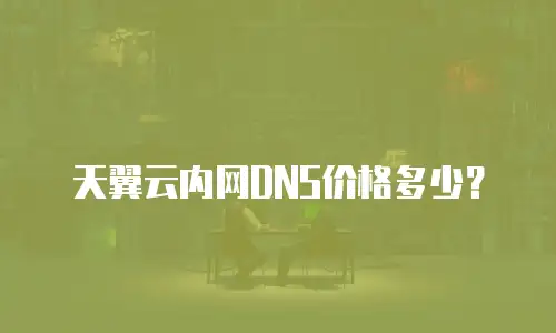 天翼云内网DNS价格多少？