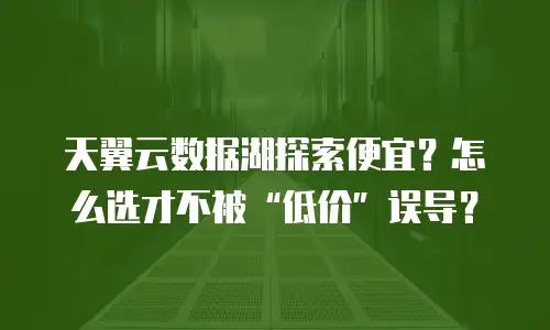 天翼云数据湖探索便宜？怎么选才不被&ldquo;低价&rdquo;误导？