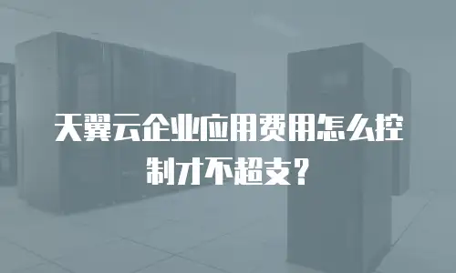 天翼云企业应用费用怎么控制才不超支？