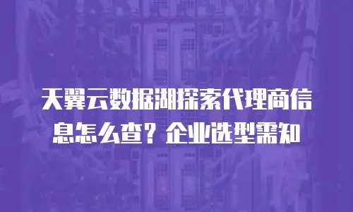 天翼云数据湖探索代理商信息怎么查？企业选型需知