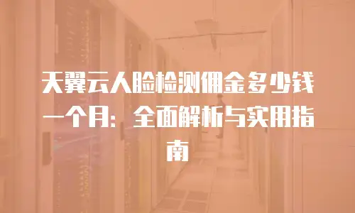 天翼云人脸检测佣金多少钱一个月：全面解析与实用指南