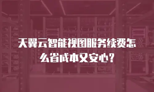 天翼云智能视图服务续费怎么省成本又安心？