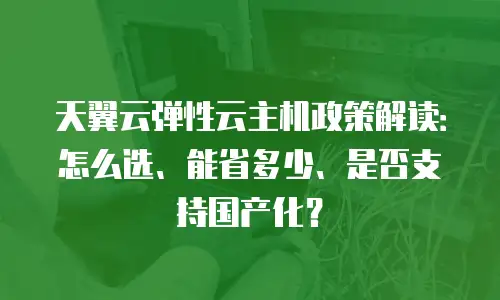 天翼云弹性云主机政策解读：怎么选、能省多少、是否支持国产化？