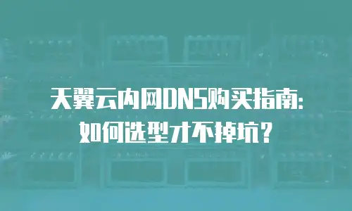 天翼云内网DNS购买指南：如何选型才不掉坑？