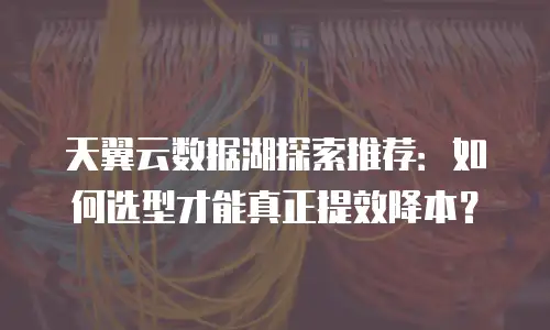 天翼云数据湖探索推荐：如何选型才能真正提效降本？