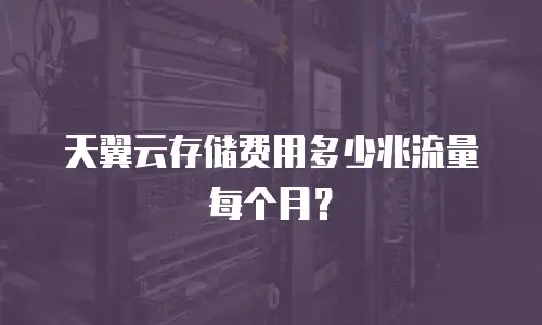 天翼云存储费用多少兆流量每个月？