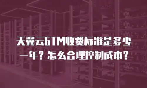 天翼云GTM收费标准是多少一年？怎么合理控制成本？