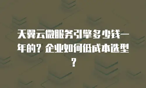天翼云微服务引擎多少钱一年的？企业如何低成本选型？