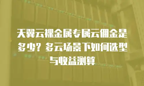天翼云裸金属专属云佣金是多少？多云场景下如何选型与收益测算