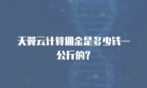 天翼云计算佣金是多少钱一公斤的？
