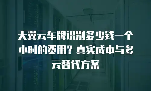 天翼云车牌识别多少钱一个小时的费用？真实成本与多云替代方案