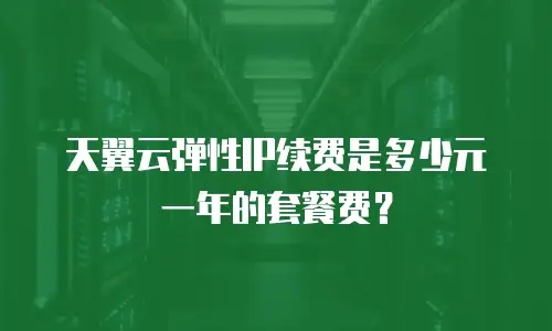 天翼云弹性IP续费是多少元一年的套餐费？