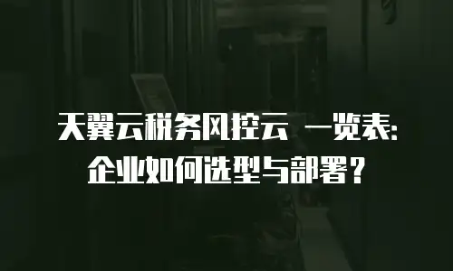 天翼云税务风控云 一览表：企业如何选型与部署？