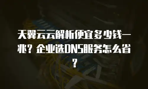 天翼云云解析便宜多少钱一兆？企业选DNS服务怎么省？