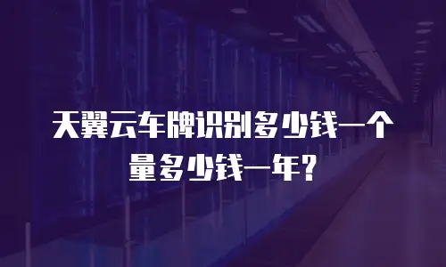 天翼云车牌识别多少钱一个量多少钱一年？