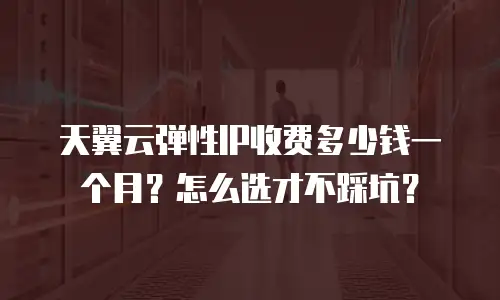 天翼云弹性IP收费多少钱一个月？怎么选才不踩坑？