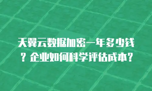 天翼云数据加密一年多少钱？企业如何科学评估成本？