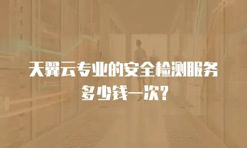 天翼云专业的安全检测服务多少钱一次？