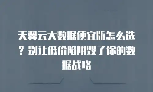 天翼云大数据便宜版怎么选？别让低价陷阱毁了你的数据战略