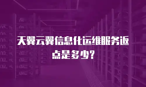 天翼云翼信息化运维服务返点是多少？