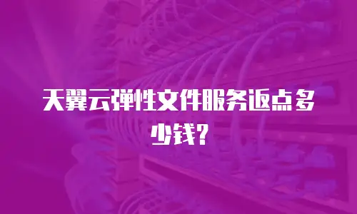 天翼云弹性文件服务返点多少钱？