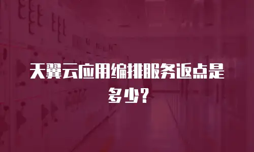 天翼云应用编排服务返点是多少？