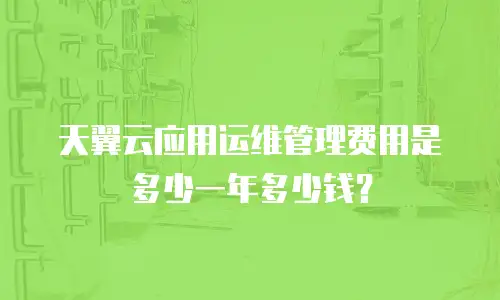 天翼云应用运维管理费用是多少一年多少钱？