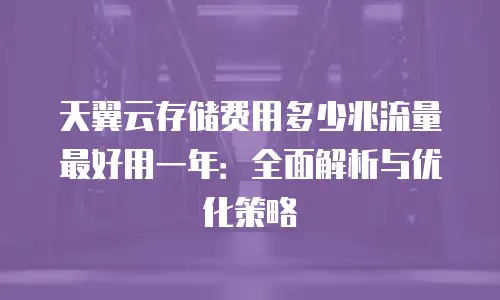 天翼云存储费用多少兆流量最好用一年：全面解析与优化策略