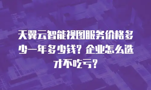 天翼云智能视图服务价格多少一年多少钱？企业怎么选才不吃亏？