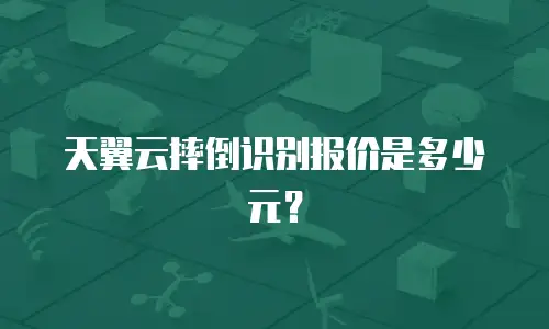 天翼云摔倒识别报价是多少元？