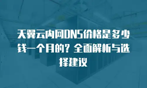 天翼云内网DNS价格是多少钱一个月的？全面解析与选择建议