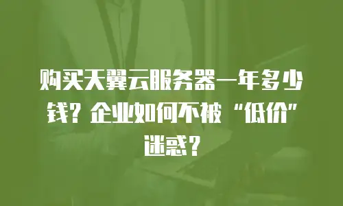 购买天翼云服务器一年多少钱？企业如何不被“低价”迷惑？