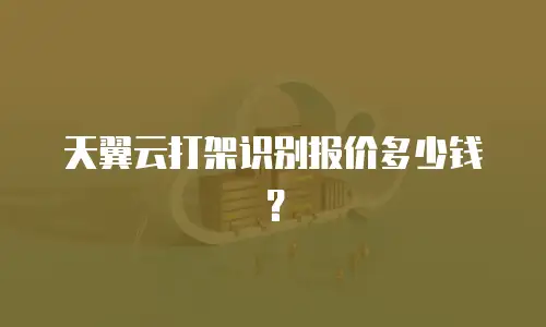 天翼云打架识别报价多少钱？