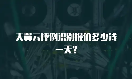 天翼云摔倒识别报价多少钱一天？